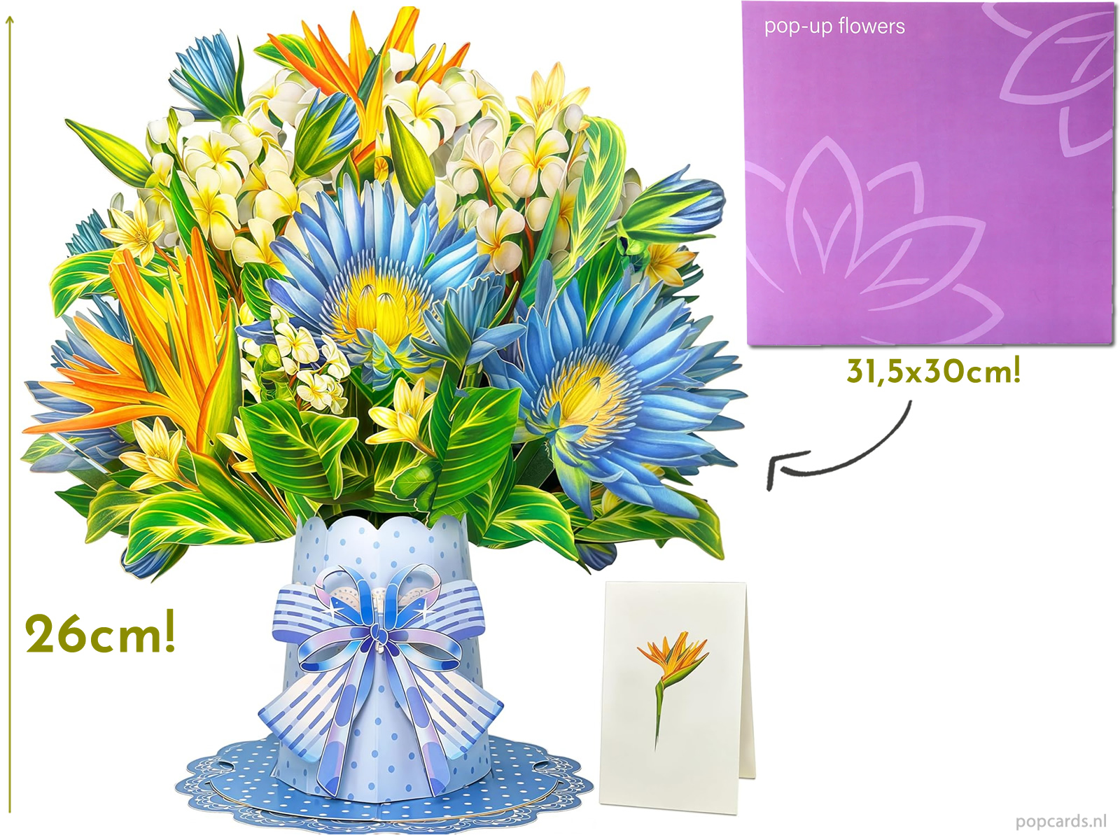 Megagrote paradijsvogelbloem Strelitzia pop-up kaart